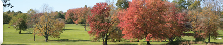 Autumn Beauty in Darien