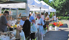 Farmers' Market