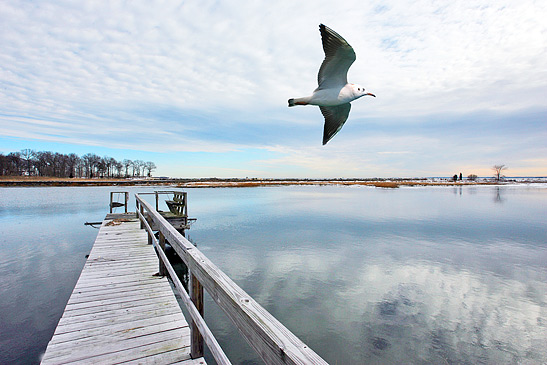 Pear Point Park