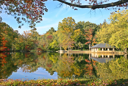 Tilley Pond, Darien